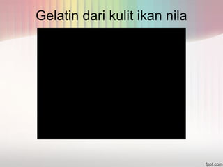 Gelatin dari kulit ikan nila 
 