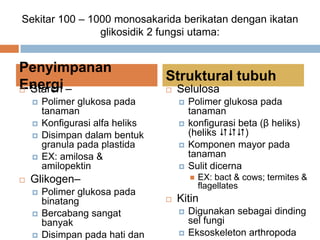 3. Polysaccharides
Penyimpanan
Energi
Struktural tubuh
 Starch –
 Polimer glukosa pada
tanaman
 Konfigurasi alfa heliks
 Disimpan dalam bentuk
granula pada plastida
 EX: amilosa &
amilopektin
 Glikogen–
 Polimer glukosa pada
binatang
 Bercabang sangat
banyak
 Disimpan pada hati dan
 Selulosa
 Polimer glukosa pada
tanaman
 konfigurasi beta (β heliks)
(heliks )
 Komponen mayor pada
tanaman
 Sulit dicerna
 EX: bact & cows; termites &
flagellates
 Kitin
 Digunakan sebagai dinding
sel fungi
 Eksoskeleton arthropoda
Sekitar 100 – 1000 monosakarida berikatan dengan ikatan
glikosidik 2 fungsi utama:
 