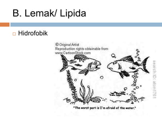 B. Lemak/ Lipida
 Hidrofobik
 