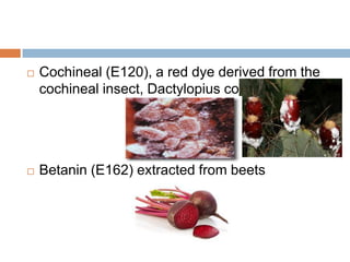  Cochineal (E120), a red dye derived from the
cochineal insect, Dactylopius coccus
 Betanin (E162) extracted from beets
 