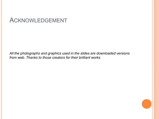 ACKNOWLEDGEMENT
All the photographs and graphics used in the slides are downloaded versions
from web. Thanks to those creators for their brilliant works
 