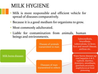 MILK HYGIENE
• Milk is more responsible and efficient vehicle for
spread of diseases comparatively.
• Because it is a good medium for organisms to grow.
• Most commonly adulterated.
• Liable for contamination from animals, human
beings and environments.
168
Milk borne diseases
Disease of animals
transmitted to man
Salmonellosis,
brucellosis,
tuberculosis, Q-fever,
foot and mouth disease,
anthrax etc.
Diseases of man
transmitted to others
Water borne diseases eg)
viral hepatitis A & E,
typhoid, diarrhea,
dysentery, amoebiasis,
giardiasis,ascariasis,
staphylococcal food
poisoning
 