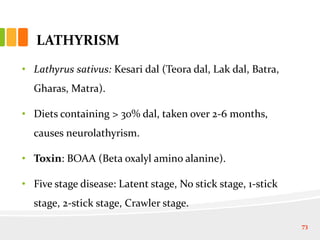 LATHYRISM
• Lathyrus sativus: Kesari dal (Teora dal, Lak dal, Batra,
Gharas, Matra).
• Diets containing > 30% dal, taken over 2-6 months,
causes neurolathyrism.
• Toxin: BOAA (Beta oxalyl amino alanine).
• Five stage disease: Latent stage, No stick stage, 1-stick
stage, 2-stick stage, Crawler stage.
73
 