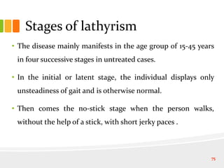 Stages of lathyrism
• The disease mainly manifests in the age group of 15-45 years
in four successive stages in untreated cases.
• In the initial or latent stage, the individual displays only
unsteadiness of gait and is otherwise normal.
• Then comes the no-stick stage when the person walks,
without the help of a stick, with short jerky paces .
75
 