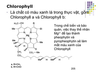 Chlorophyll 
- Là chất có màu xanh lá trong thực vật, gồm 
Chlorophyll a và Chlorophyll b: 
Trong chế biến và bảo 
quản, việc thay thế nhân 
Mg2+ để tạo thành 
pheophytin và 
pyropheophytin sẽ làm 
mất màu xanh của 
Chlorophyll 
205 
 