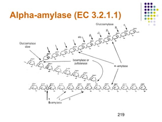 Alpha-amylase (EC 3.2.1.1) 
219 
 