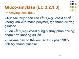 Gluco-amylase (EC 3.2.1.3) 
= Amyloglucosidase 
- Xúc tác thủy phân liên kết 1,4-glucosid từ đầu 
không khử của mạch polymer, tạo thành đường 
glucose 
- Liên kết 1,6-glucosid cũng bị thủy phân nhưng 
chậm hơn khoảng 30 lần 
- Enzyme này có thể xúc tác thủy phân 98% 
tinh bột thành glucose 
222 
 