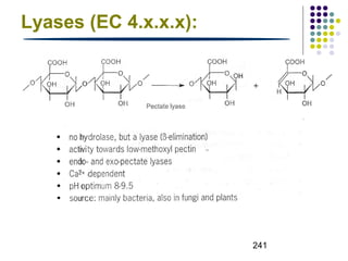 241 
Lyases (EC 4.x.x.x): 
 