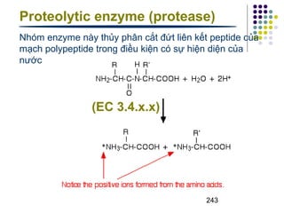 Proteolytic enzyme (protease) 
Nhóm enzyme này thủy phân cắt đứt liên kết peptide của 
mạch polypeptide trong điều kiện có sự hiện diện của 
nước 
243 
(EC 3.4.x.x) 
 