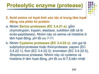 Proteolytic enzyme (protease) 
2. Acid amins có họat tính xúc tác ở trung tâm họat 
động của phân tử protein 
a. Nhóm Serine proteases (EC 3.4.21.x): gồm 
chymotrypsin, trypsin, elastase, subtilisin (tất cả là 
endo-peptidases). Nhóm này có serine và histidine ở 
tâm họat động. pH tối ưu 7-11 
b. Nhóm Cysteine proteases (EC 3.4.22.x): còn gọi là 
sulphydryl-protease hoặc thiol-protease: papain (EC 
3.4.22.1), ficin (EC 3.4.22.3), bromelain (EC 3.4.22.5), 
Streptococus protease. Nhóm này có cysteine và 
histidine ở tâm họat động, pH tối ưu 6-7,5,bền nhiệt 
245 
 