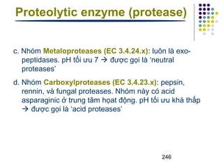 Proteolytic enzyme (protease) 
c. Nhóm Metaloproteases (EC 3.4.24.x): luôn là exo-peptidases. 
pH tối ưu 7  được gọi là ‘neutral 
proteases’ 
d. Nhóm Carboxylproteases (EC 3.4.23.x): pepsin, 
rennin, và fungal proteases. Nhóm này có acid 
asparaginic ở trung tâm họat động. pH tối ưu khá thấp 
 được gọi là ‘acid proteases’ 
246 
 