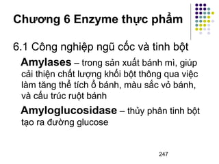 Chương 6 Enzyme thực phẩm 
6.1 Công nghiệp ngũ cốc và tinh bột 
Amylases – trong sản xuất bánh mì, giúp 
cải thiện chất lượng khối bột thông qua việc 
làm tăng thể tích ổ bánh, màu sắc vỏ bánh, 
và cấu trúc ruột bánh 
Amyloglucosidase – thủy phân tinh bột 
tạo ra đường glucose 
247 
 