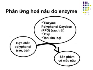 Phản ứng hoá nâu do enzyme 
61 
Hợp chất 
polyphenol 
(rau, trái) 
Enzyme 
Polyphenol Oxydase 
(PPO) (rau, trái) 
Oxy 
Ion kim loại 
Sản phẩm 
có màu nâu 
 