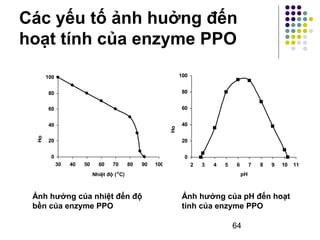 Các yếu tố ảnh huởng đến 
hoạt tính của enzyme PPO 
64 
100 
80 
60 
tính còn l 
40 
20 
0 
(%) 
30 40 50 60 70 80 90 100 
Nhiệt độ (oC) 
Ho 
ạt 
ại 
100 
80 
60 
tính (%) 
40 
20 
0 
2 3 4 5 6 7 8 9 10 11 
pH 
Ho 
ạt 
Ảnh hưởng của nhiệt đến độ 
bền của enzyme PPO 
Ảnh hưởng của pH đến hoạt 
tính của enzyme PPO 
 