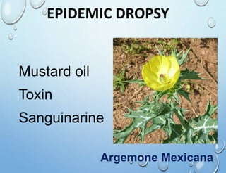 EPIDEMIC DROPSY
Mustard oil
Toxin
Sanguinarine
Argemone Mexicana
 