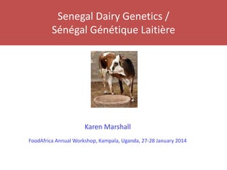 Senegal Dairy Genetics /
Sénégal Génétique Laitière
Karen Marshall
FoodAfrica Annual Workshop, Kampala, Uganda, 27-28 January 2014
 