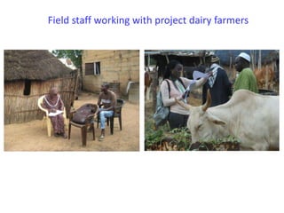 Senegal dairy genetics project: Work package 2 update
