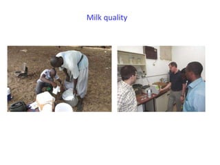 Senegal dairy genetics project: Work package 2 update