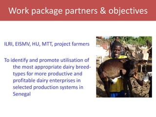 Senegal dairy genetics project: Work package 2 update