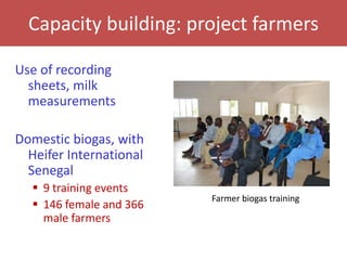 Senegal dairy genetics project: Work package 2 update