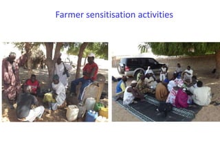 Senegal dairy genetics project: Work package 2 update