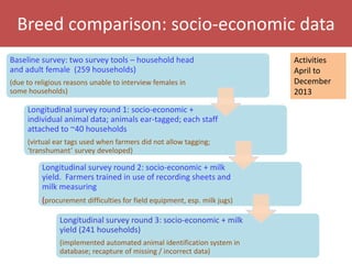Senegal dairy genetics project: Work package 2 update