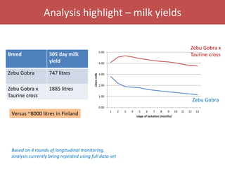 Senegal dairy genetics / Sénégal génétique laitière