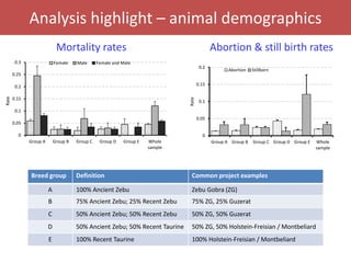 Senegal dairy genetics / Sénégal génétique laitière