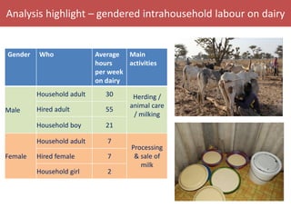 Senegal dairy genetics / Sénégal génétique laitière