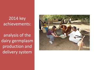 Senegal dairy genetics / Sénégal génétique laitière