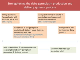Senegal dairy genetics / Sénégal génétique laitière