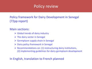 Senegal dairy genetics / Sénégal génétique laitière