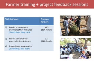 Senegal dairy genetics / Sénégal génétique laitière