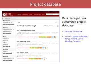 Senegal dairy genetics / Sénégal génétique laitière