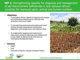 WP 1: Strengthening capacity for diagnosis and management
of soil micronutrient deficiencies in Sub-Saharan African
countries for improved plant, animal and human nutrition
• Objectives
• To strengthen African capacity to diagnose and manage
soil micronutrient deficiencies for improved food
production and human health.
• To increase food productivity and quality and human
nutrition through improved soil micronutrient
diagnostics and management in Sub-Saharan Africa.
• To enable better targeting and monitoring of
interventions aimed at improving crop, livestock and
human health at different levels, from farm to
international development policy.
• Partners
• ICRAF
• Luke
• University of Nairobi, Institute of Nuclear Physics
© Natural Resources Institute Finland (Luke) 6
 