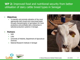 WP 2: Improved food and nutritional security from better
utilisation of dairy cattle breed types in Senegal
• Objectives
• To identify and promote utilization of the most
appropriate dairy breed and cross-breed types
through characterisation of germplasm for more
productive and profitable dairy enterprises in
selected production systems in Senegal.
• Partners
• ILRI
• Luke
• University of Helsinki, Department of Agricultural
Sciences
• National Research Institute in Senegal
22.1.2015© Natural Resources Institute Finland (Luke) 7
 