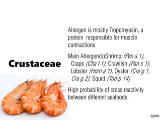 Allergen is mostly Tropomyosin, a
protein responsible for muscle
contractions
Main Allergen(s)Shrimp (Pen a 1),
Craps (Cha f 1), Crawfish (Pan s 1),
Lobster (Hom a 1), Oyster (Cra g 1,
Cra g 2), Squid (Tod p 14)
High probability of cross reactivity
between different seafoods
Crustaceae
 