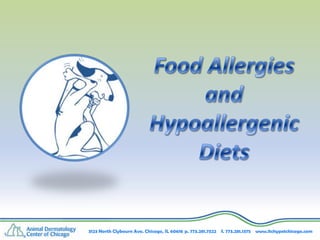 Food AllergiesandHypoallergenic Diets 3123 North Clybourn Ave. Chicago, IL 60618	p. 773.281.7522    f. 773.281.1375    www.itchypetchicago.com 