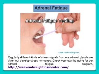 Adrenal Fatigue
Regularly different kinds of stress signals from our adrenal glands are
given out develop stress hormones. Check your own by going for our
adrenal fatigue program.
http://weekendweightlosscenter.com/
 