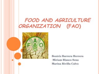 FOOD AND AGRICULTURE ORGANIZATION   (FAO) ,[object Object],[object Object],[object Object]