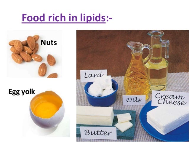 When Food Is Digested Where The Energy Stored When Food Is Digested Where The Energy Stored