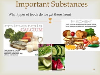 Important Substances 
What types of foods do we get these from? 
 
26 
 