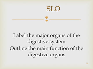 SLO 
 
Label the major organs of the 
digestive system 
Outline the main function of the 
digestive organs 
44 
 
