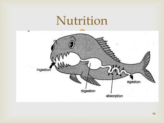 Nutrition 
 
46 
 