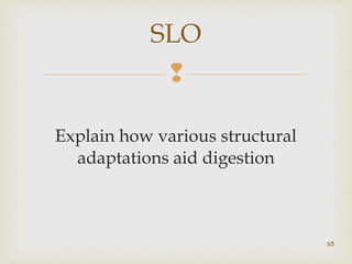 SLO 
 
Explain how various structural 
adaptations aid digestion 
65 
 