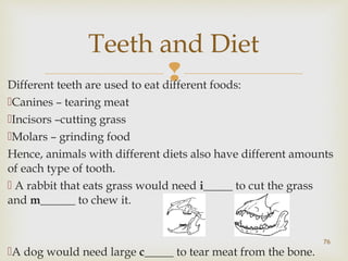Teeth and Diet 
 Different teeth are used to eat different foods: 
Canines – tearing meat 
Incisors –cutting grass 
Molars – grinding food 
Hence, animals with different diets also have different amounts 
of each type of tooth. 
 A rabbit that eats grass would need i_____ to cut the grass 
and m______ to chew it. 
A dog would need large c_____ to tear meat from the bone. 
76 
 