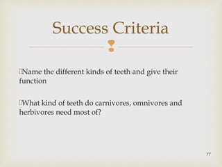  
Name the different kinds of teeth and give their 
function 
What kind of teeth do carnivores, omnivores and 
herbivores need most of? 
77 
Success Criteria 
