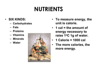 NUTRIENTS
• SIX KINDS:               • To measure energy, the
  –   Carbohydrates          unit is calorie.
  –   Fats                 • 1 cal = the amount of
  –   Proteins               energy necessary to
  –   Vitamins               raise 1oC 1g of water.
  –   Minerals
                           • 1 Calorie = 1000 cal
  –   Water
                           • The more calories, the
                             more energy.
 