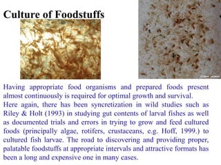 Culture of Foodstuffs
Having appropriate food organisms and prepared foods present
almost continuously is required for optimal growth and survival.
Here again, there has been syncretization in wild studies such as
Riley & Holt (1993) in studying gut contents of larval fishes as well
as documented trials and errors in trying to grow and feed cultured
foods (principally algae, rotifers, crustaceans, e.g. Hoff, 1999.) to
cultured fish larvae. The road to discovering and providing proper,
palatable foodstuffs at appropriate intervals and attractive formats has
been a long and expensive one in many cases.
 