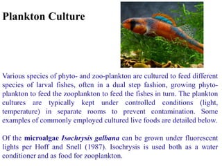 Plankton Culture
Various species of phyto- and zoo-plankton are cultured to feed different
species of larval fishes, often in a dual step fashion, growing phyto-
plankton to feed the zooplankton to feed the fishes in turn. The plankton
cultures are typically kept under controlled conditions (light,
temperature) in separate rooms to prevent contamination. Some
examples of commonly employed cultured live foods are detailed below.
Of the microalgae Isochrysis galbana can be grown under fluorescent
lights per Hoff and Snell (1987). Isochrysis is used both as a water
conditioner and as food for zooplankton.
 